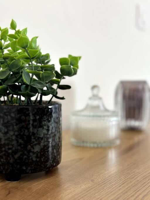 Le Nid Douillet Apartment Nimes Ngoại thất bức ảnh